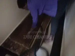 Highly Trained and Professional Sofaset Cleaning Services