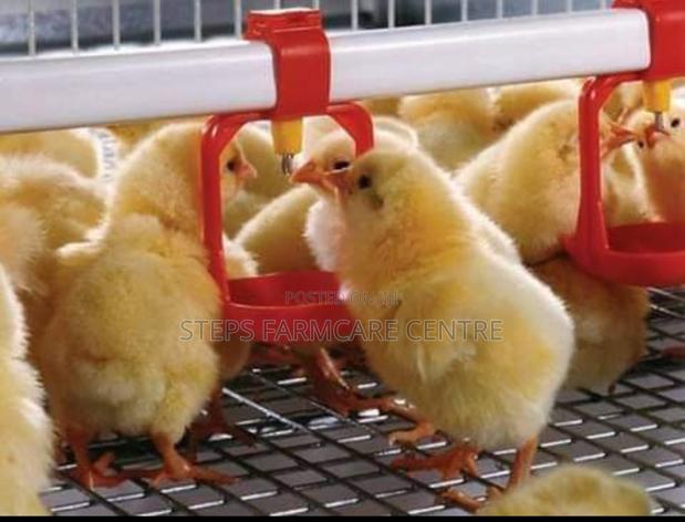 Yellow , Single Cup Automatic Chicken Nipple Drinkers