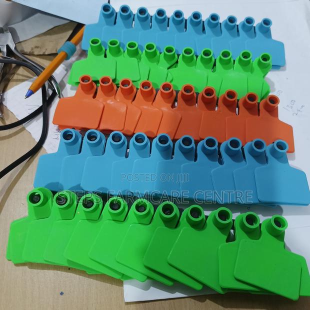 100 Pack Multi Coloured Goat Tags - main view