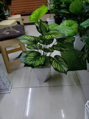 Plastic Vase, Plant and Pebble Stones