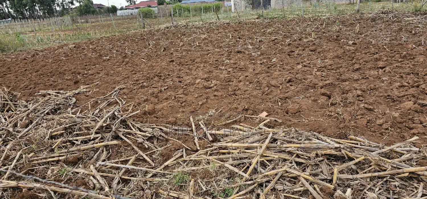 Prime Plot for Sale in Chepkoilel Sogomo in Eldoret
