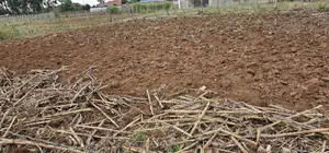 Prime Plot for Sale in Chepkoilel Sogomo in Eldoret