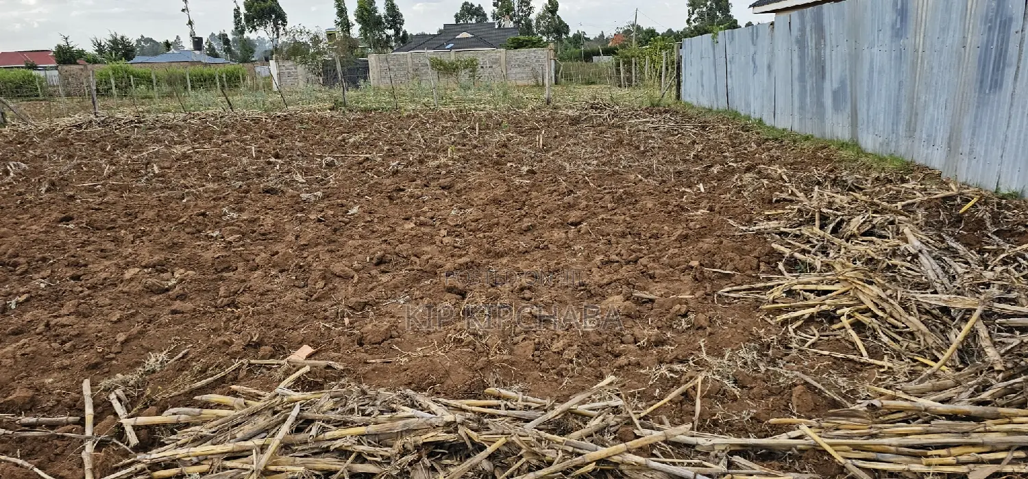 Prime Plot for Sale in Chepkoilel Sogomo in Eldoret