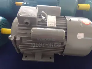 5horsepower Electric Motor STCL Brand