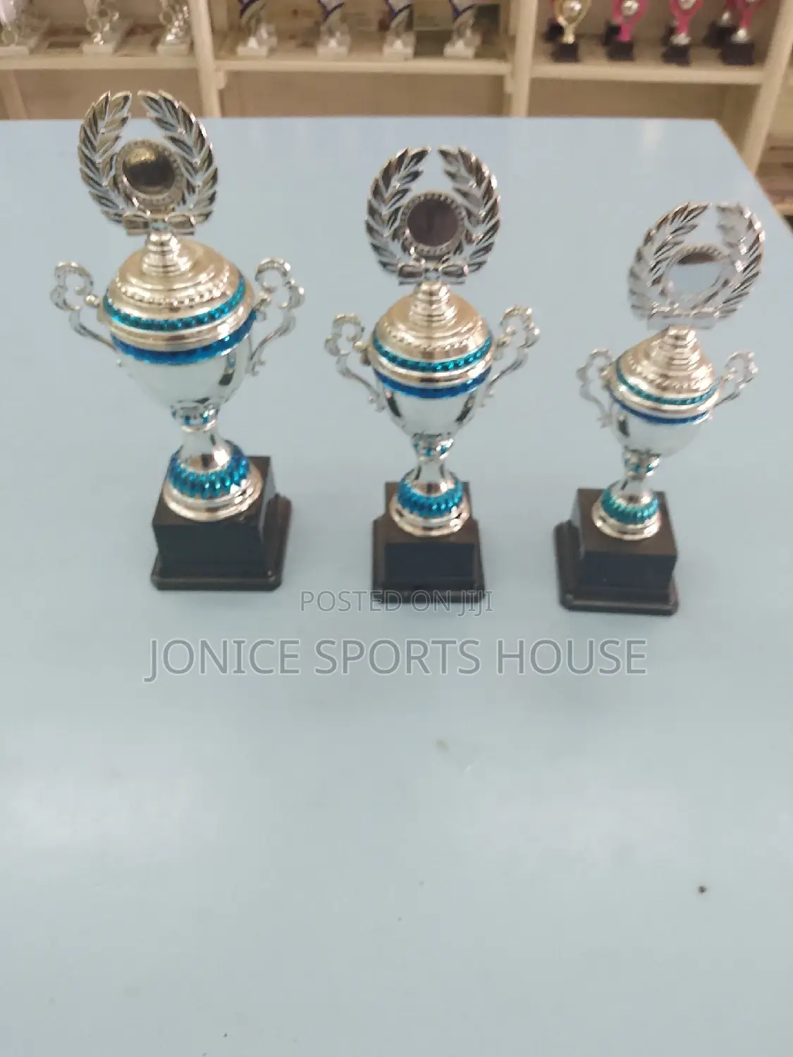 Silver Award Trophies