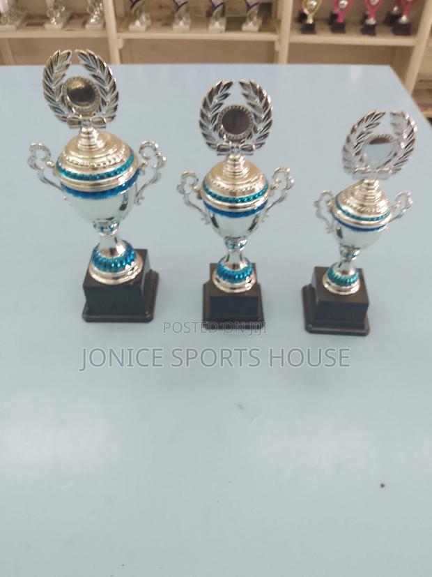 Silver Award Trophies - main view