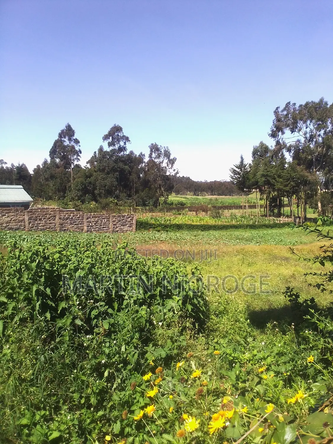 1⁄2 Acre Mwiciringiri