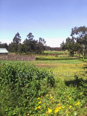 1⁄2 Acre Mwiciringiri - thumbnail 2