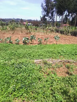 1⁄2 Acre Mwiciringiri