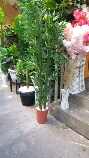 Bamboo Sticks 1.7m