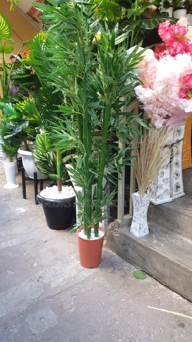 Bamboo Sticks 1.7m - main view