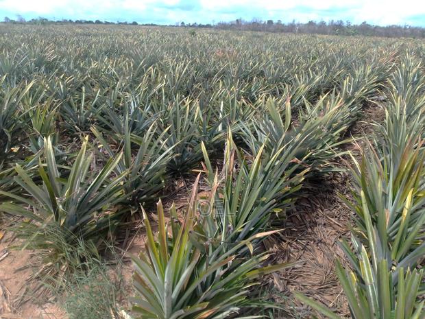 Malindi 5000 Acre Land on Sale - main view