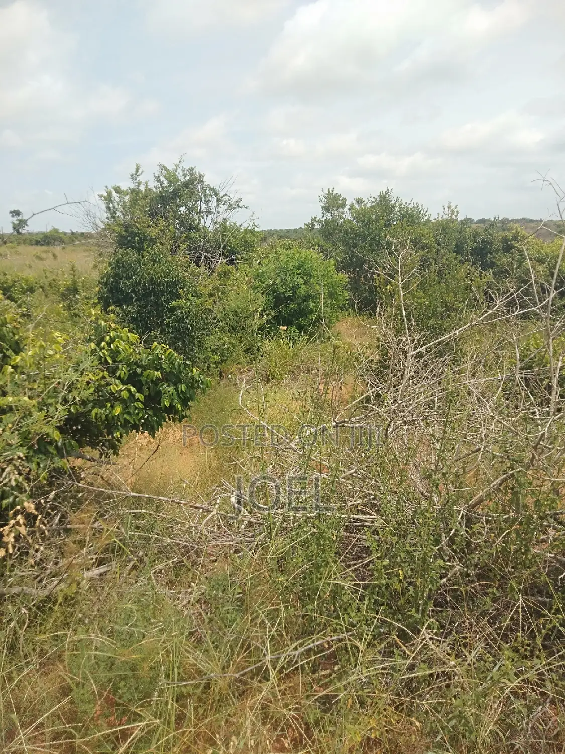 Malindi 5000 Acre Land on Sale