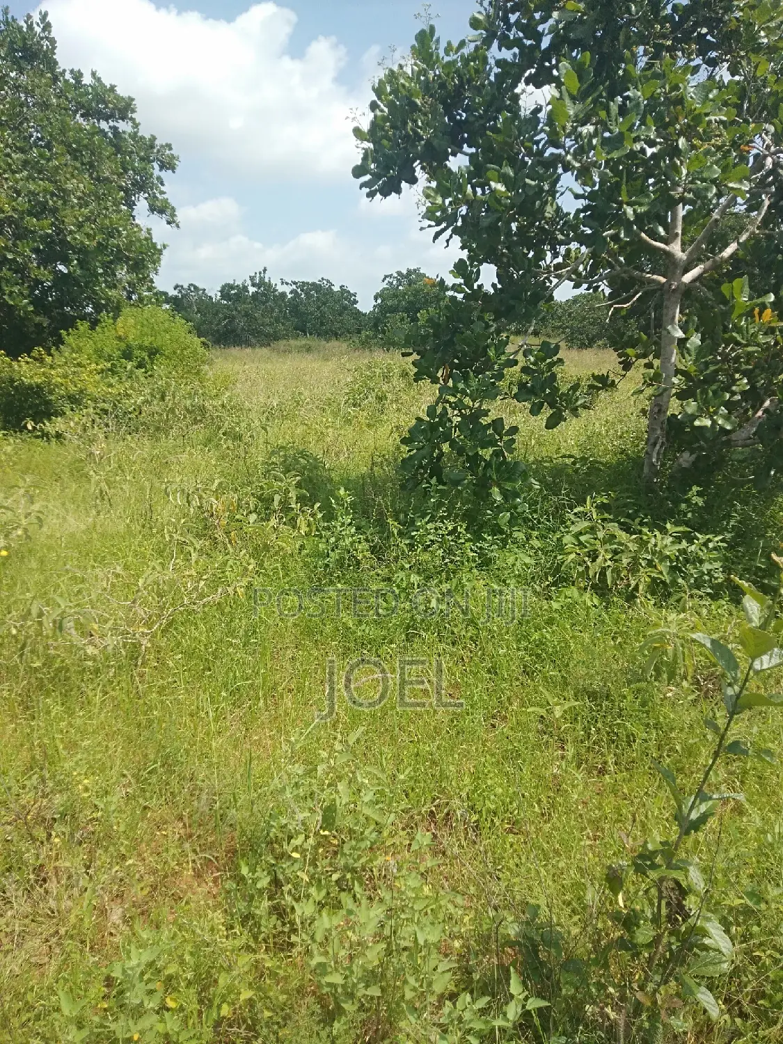 Malindi 250 Acres for Sale