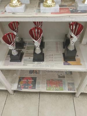 Sports Awards Trophy - main view