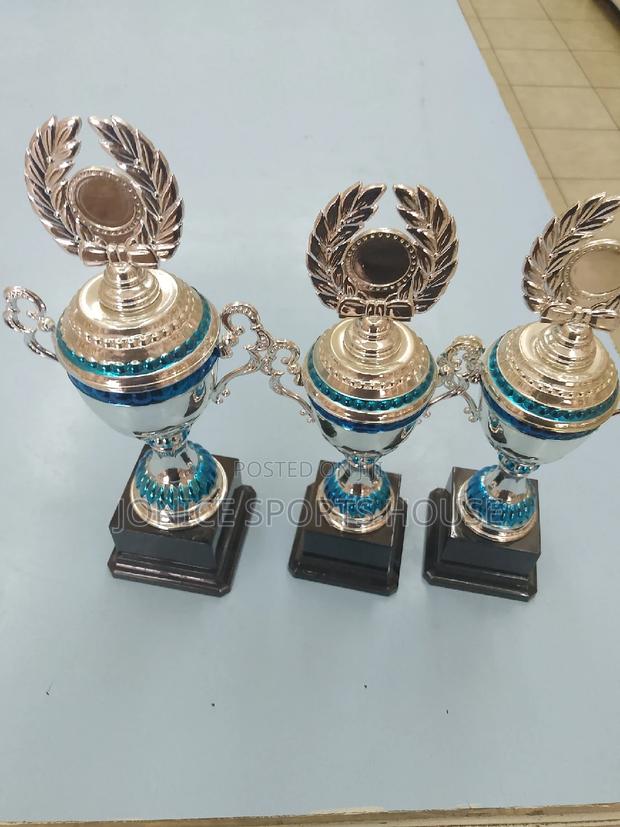 Awards Trophy - main view