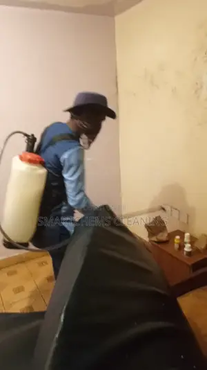 Bedbugs Elimination Thika Road