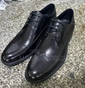 Official Leather Shoes