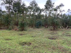 Eastern Bypass 10acres Touching The Tarmac - thumbnail 2