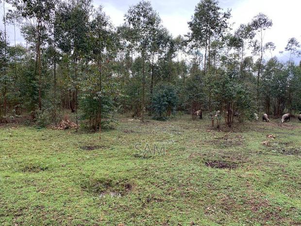 Eastern Bypass 10acres Touching The Tarmac - main view