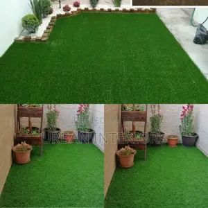 Grass Carpet Grass Carpet Grass Carpet Grass Carpet