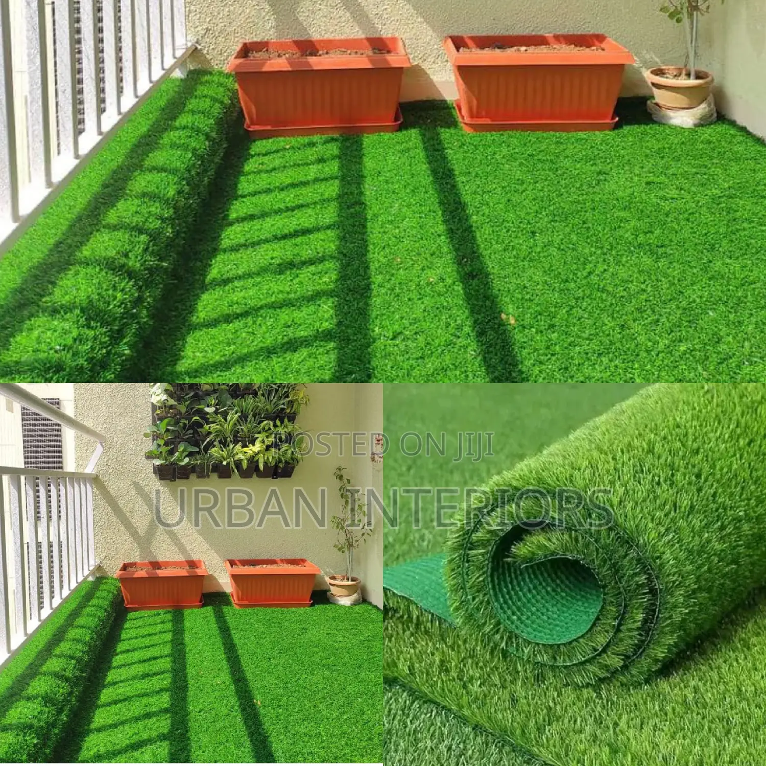 Grass Carpet Grass Carpet Grass Carpet Grass Carpet