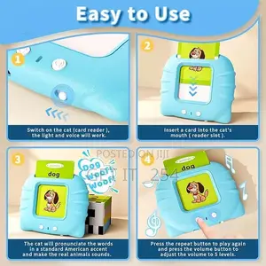 Flashing Card Reader *224 Cards *Colour Pink and Blue