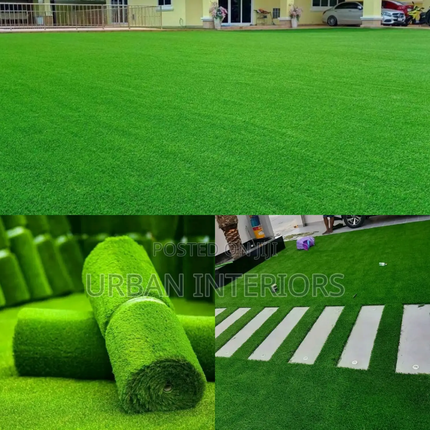 Grass Carpet Grass Carpet Grass Carpet Grass Carpet