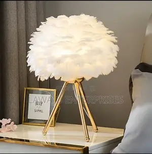 White LED Modern Night Feather Light