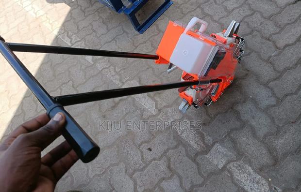 Single Seed Plantae Available Now - main view