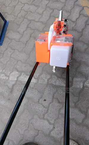 Single Seed Plantae Available Now