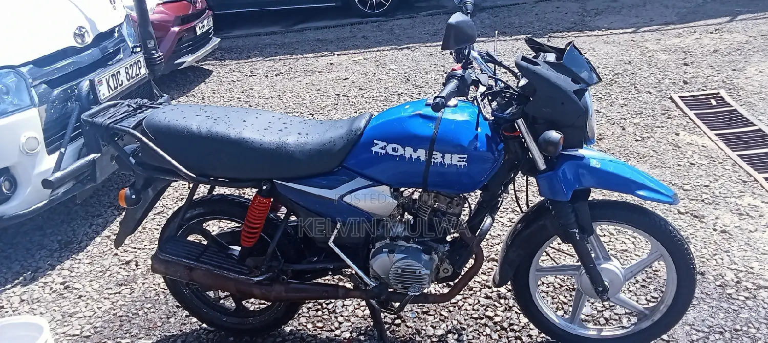 New TVS HLX Plus ES 2022 Blue