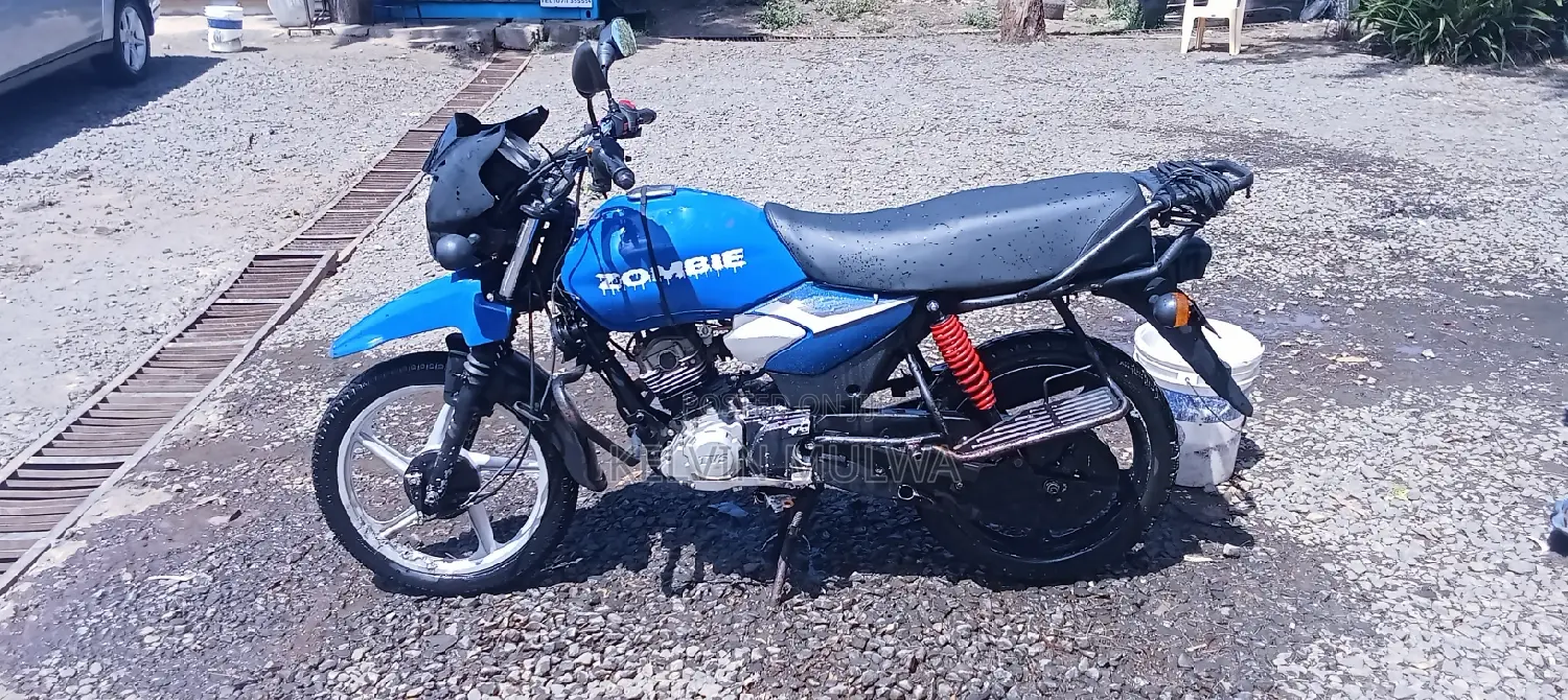 New TVS HLX Plus ES 2022 Blue