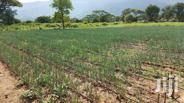 Tractor PTO Irrigation Pump - thumbnail 9