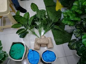 Baskets, Plants and Pebble Stones