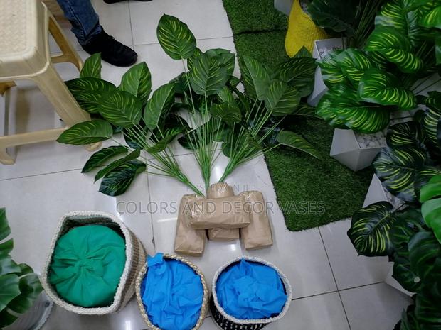 Baskets, Plants and Pebble Stones
