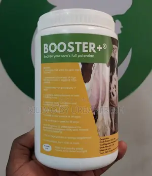 High Milk Yield Dairy Cow Booster