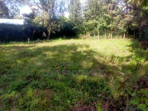 1/8 Acre Olkeri - thumbnail 2
