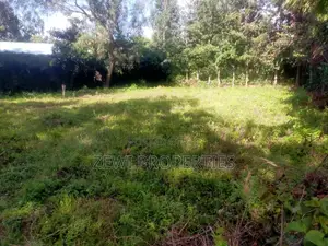 1/8 Acre Olkeri