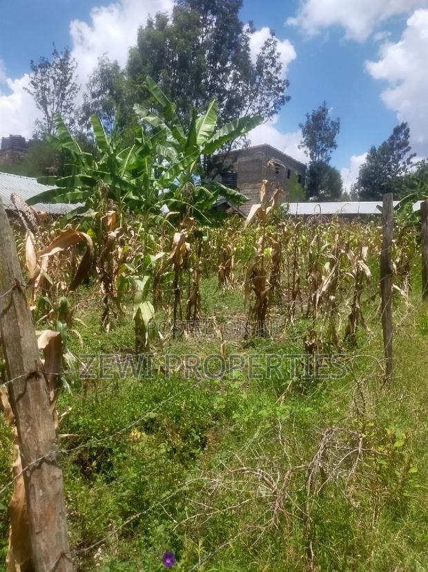 1/8 Matasia Town - thumbnail 3