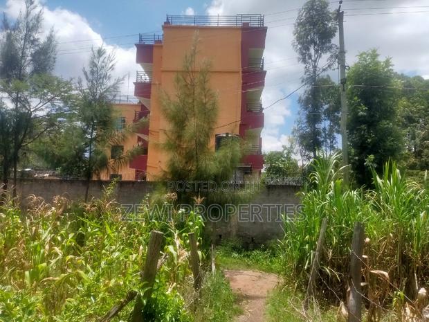 1/8 Matasia Town - thumbnail 5