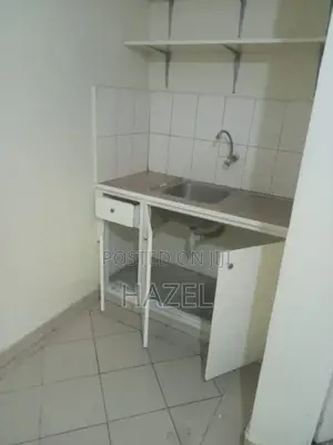 1bdrm Bedsitter in Ngong CBD for rent