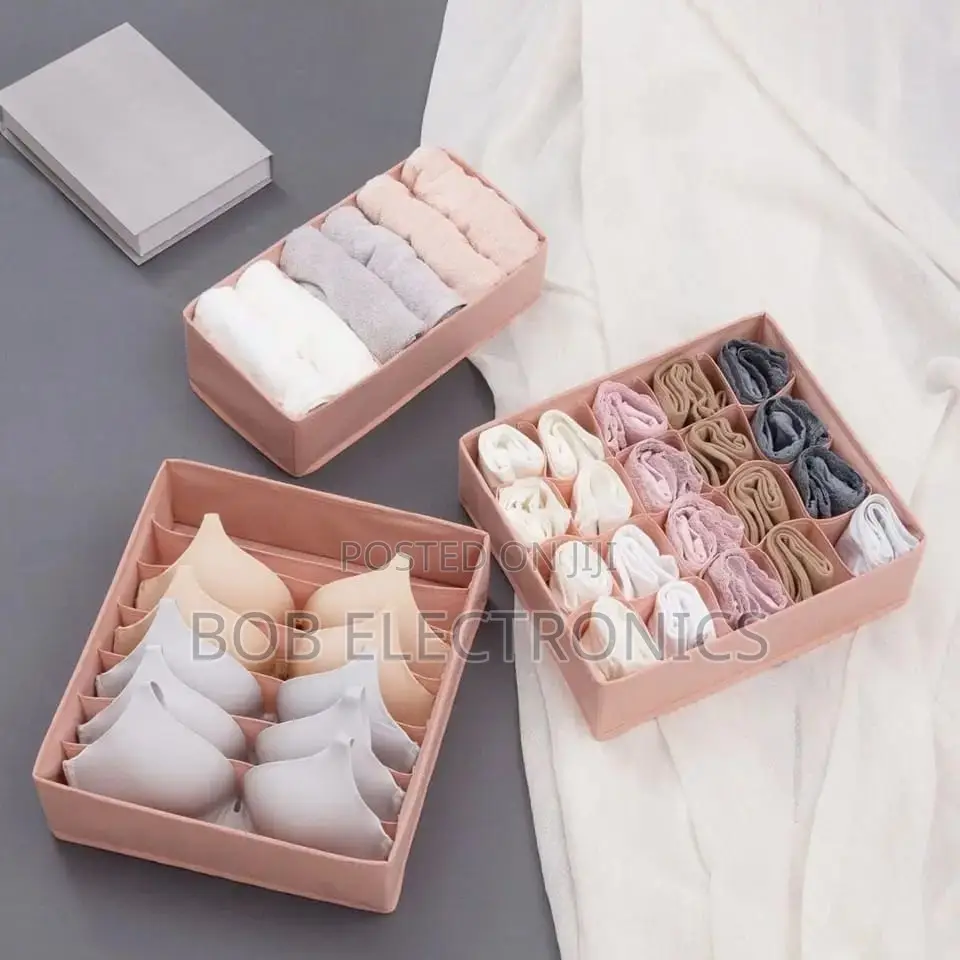 3 in 1 Undergarment Organizer