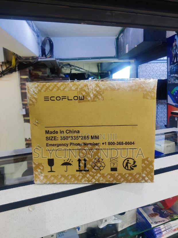 Ecoflow Power Station - thumbnail 3