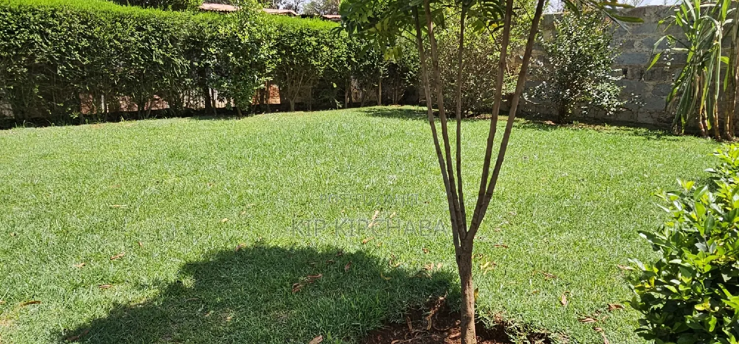 5bedroom Mansion for Sale in Elgonview Eldoret
