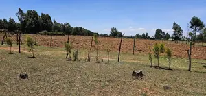 Prime 10 Acres Jua Kali Touching Tarmac for Sale in Eldoret