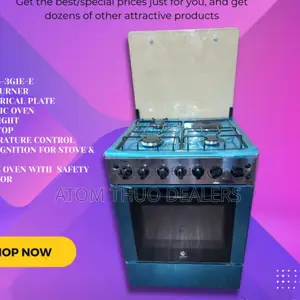 Blue 60*60 3+1 Euroken Standing Cokker With Electric Oven