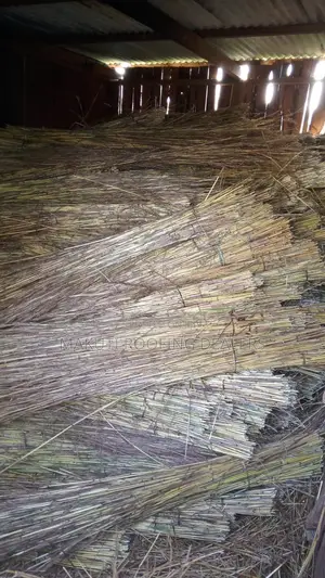 Kisumu Thatching Grass for Sale