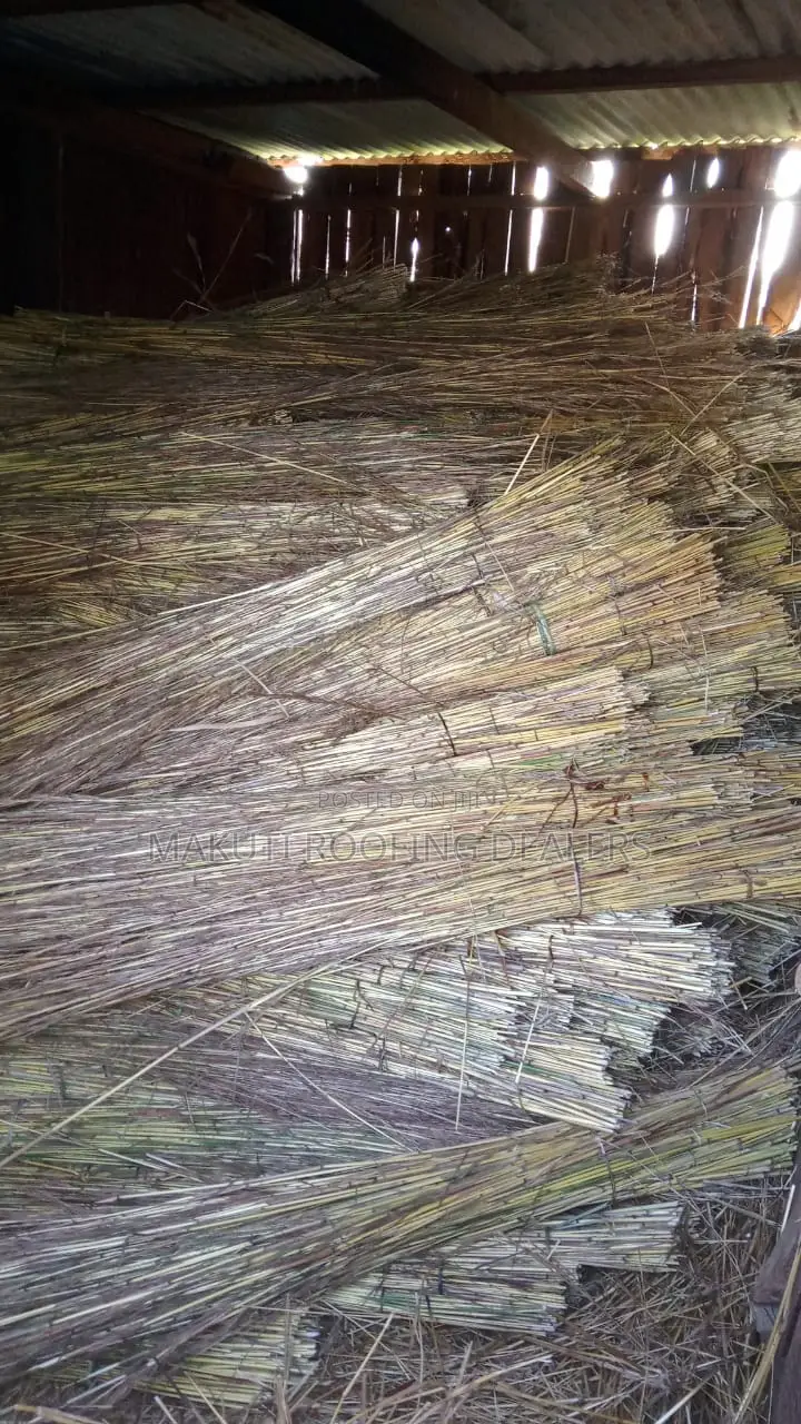 Kisumu Thatching Grass for Sale