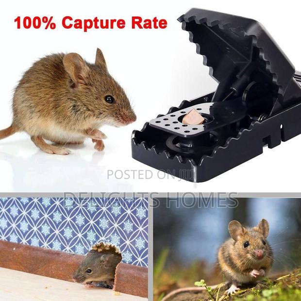 Tomcat Heavy Duty Mouse Trap - main view